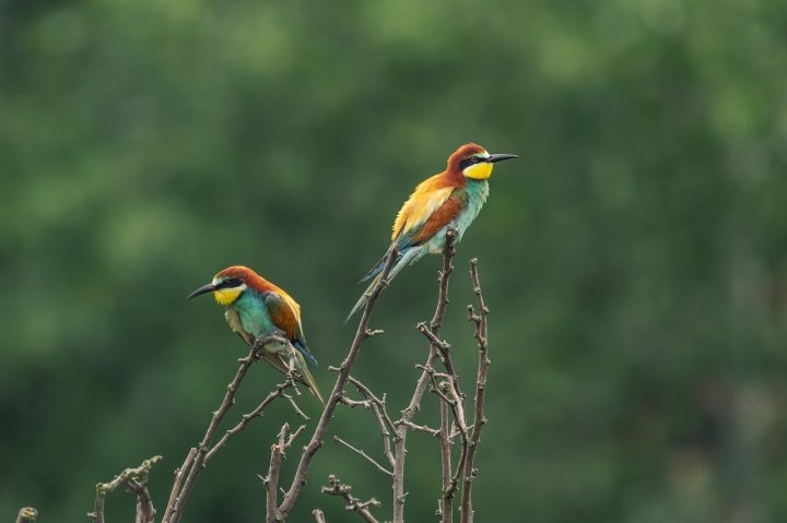 周囲が止まっている夢の夢診断