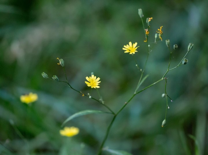 答えが思い浮かばない夢の意味スピリチュアル解釈