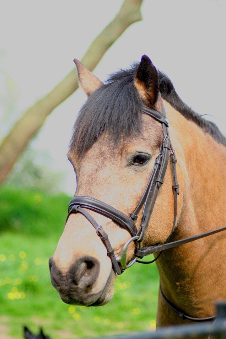 気が散る夢の意味をスピリチュアルに読む